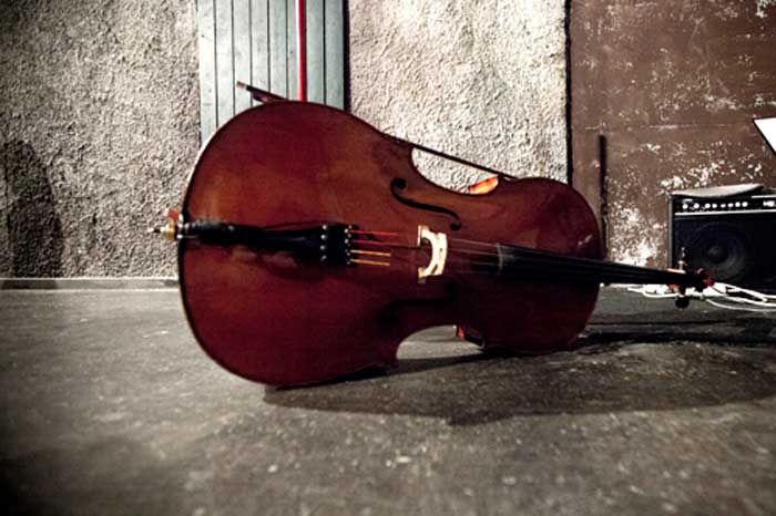 Politismos kepa violontselo