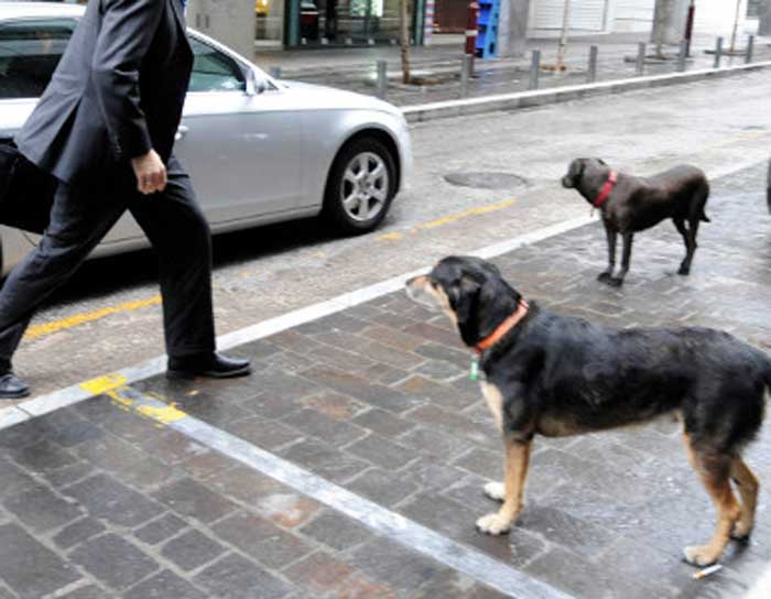 Sxolia Fovatai o giannis to skyli