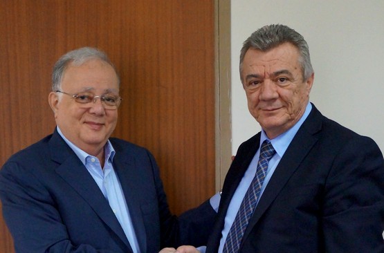 Topika Gyrinis fysiko aerio