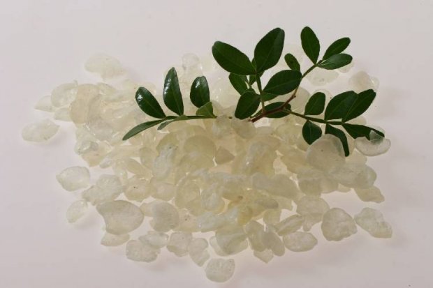 Epistimi mastixa ofeli