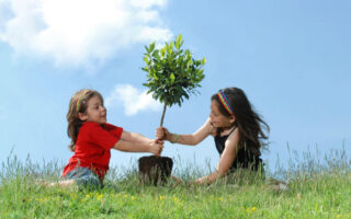 Topika dendrofyteysi platy