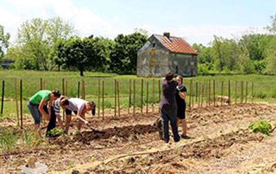 2014 06 19 Agrotika aitisis agrotemaxio