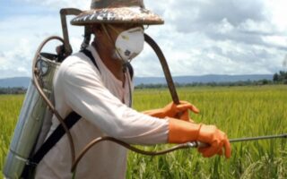 Agrotika pistopoiisi georgikon farmakon