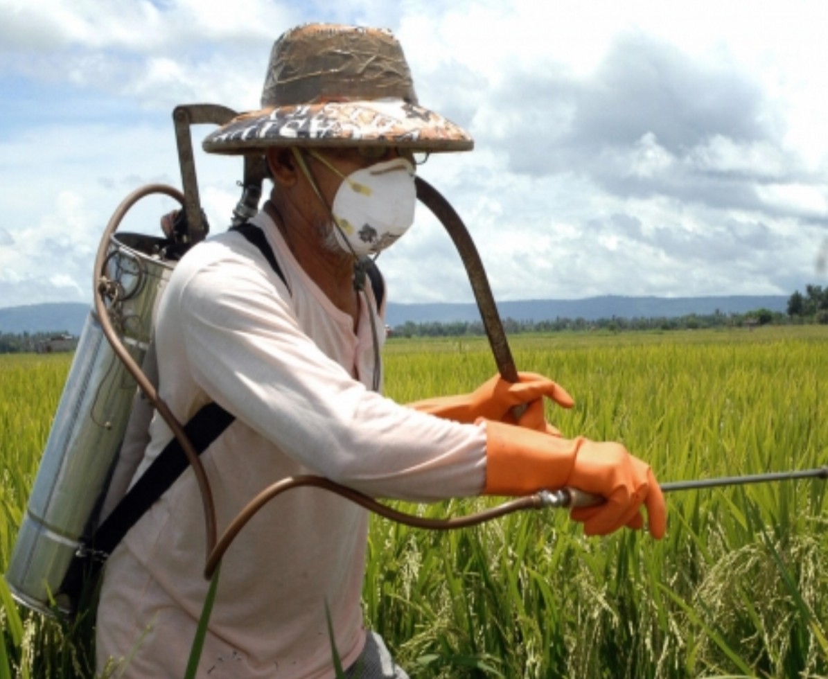 Agrotika pistopoiisi georgikon farmakon