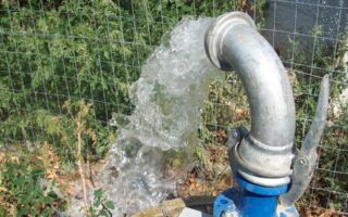 Agrotika simia ydrolipsias