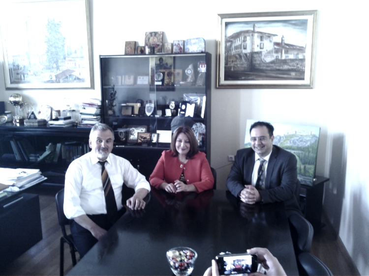 Paideia tee syn typou