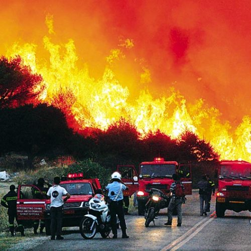 Ενημερωτικό δελτίο της Πυροσβεστικής  Υπηρεσίας Βέροιας για  πρόληψη και  αντιμετώπιση δασικών πυρκαγιών