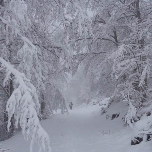 Εικόνες παραμυθιού στο χιονισμένο Βέρμιο για την Ορειβατική Ομάδα Βέροιας "Τοτός"