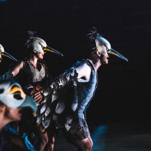 ΚΘΒΕ: Οι «Όρνιθες» επιστρέφουν στο Θέατρο Δάσους - Παραστάσεις  4, 5 και 6 Σεπτεμβρίου