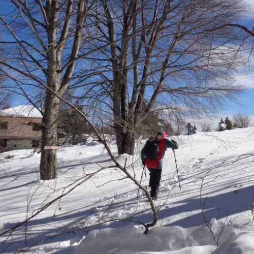 Βέρμιο: Ανηφορίζοντας το αρκετά απαιτητικό μονοπάτι για την χιονισμένη κορυφή "Μουντάκι"