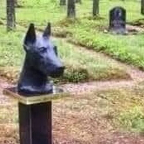 Σκυλίτσα θάβεται σε νεκροταφείο της Αρμενίας / Ποιος όμως μπορεί να πει ότι βεβηλώνει αυτή την ιερή γη;