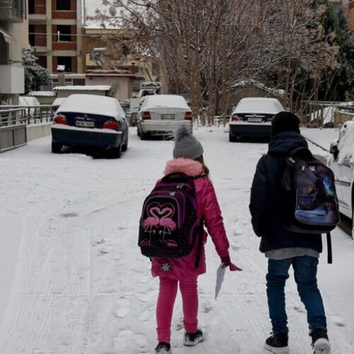 Δήμος Βέροιας: Κλειστά τα σχολεία στα Ριζώματα | Τρίτη 8 Μαρτίου