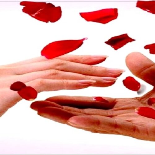 Εύξεινος Λέσχη Βέροιας: Κάλεσμα για αιμοδοσία