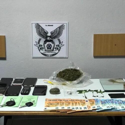 Από το Τμήμα Ασφάλειας Πέλλας εξαρθρώθηκε εγκληματική ομάδα διακίνησης ναρκωτικών ουσιών